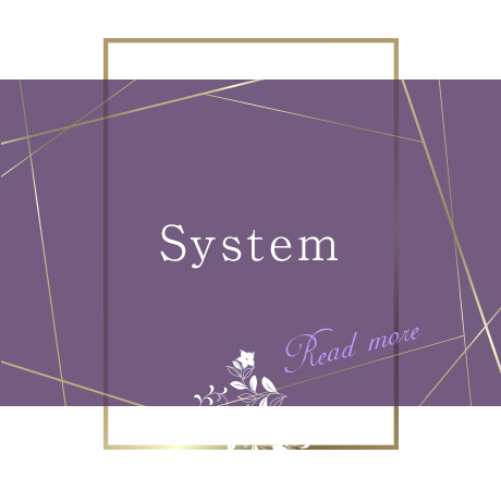 half_bnr_system